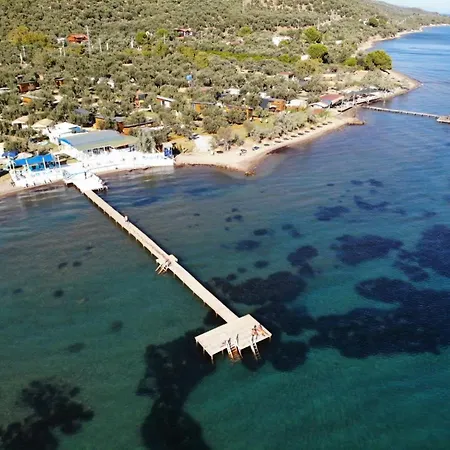 Lovely Tiny House Surrounded By Olive Trees Near Beach In Ayvacik
