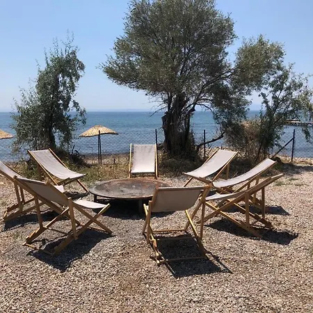 Сasa de vacaciones Lovely Tiny House Surrounded By Olive Trees Near Beach In Ayvacik Küçükkuyu