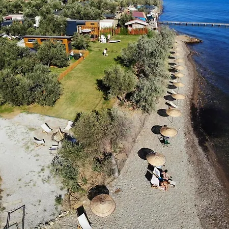 Lovely Tiny House Surrounded By Olive Trees Near Beach In Ayvacik Holiday home Kucukkuyu